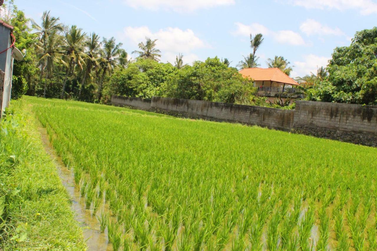 Villa White Creative Campuhan Ubud